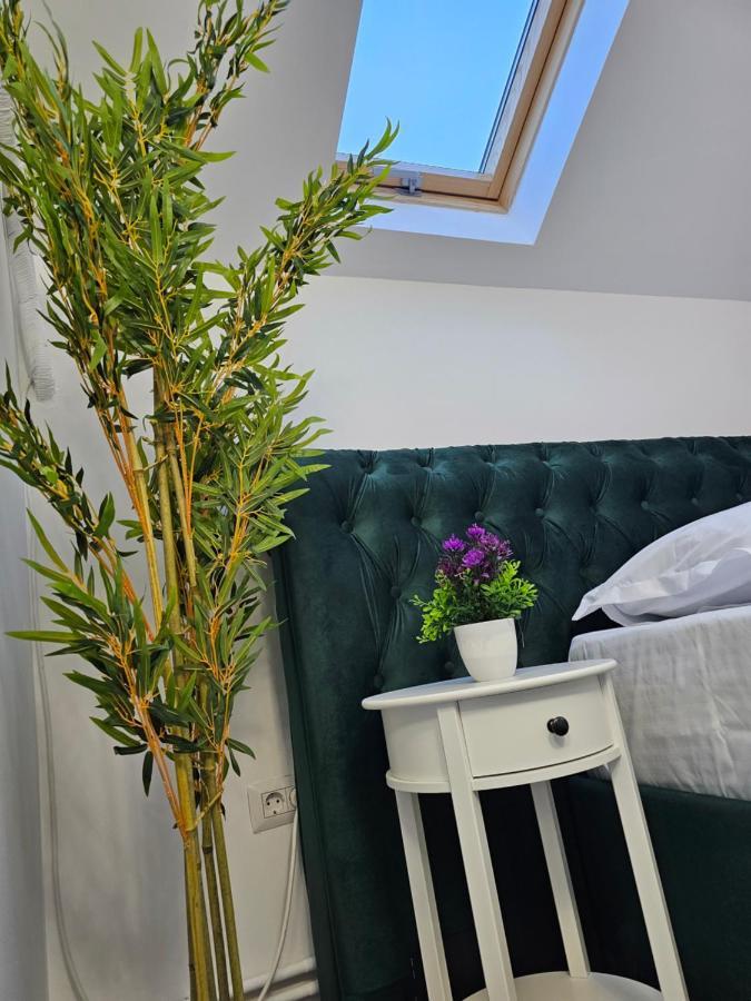 Perfect Villa Ploieşti Eksteriør bilde